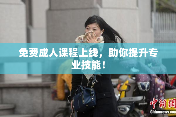 免费成人课程上线，助你提升专业技能！