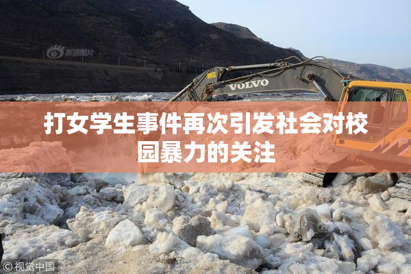 打女学生事件再次引发社会对校园暴力的关注