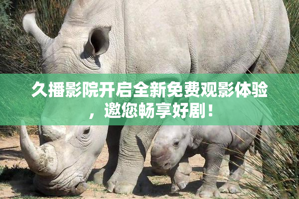 久播影院开启全新免费观影体验，邀您畅享好剧！