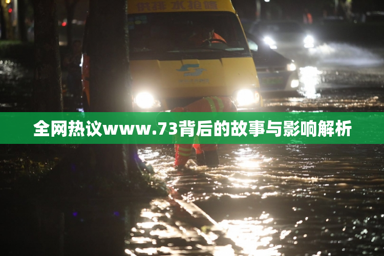 全网热议www.73背后的故事与影响解析