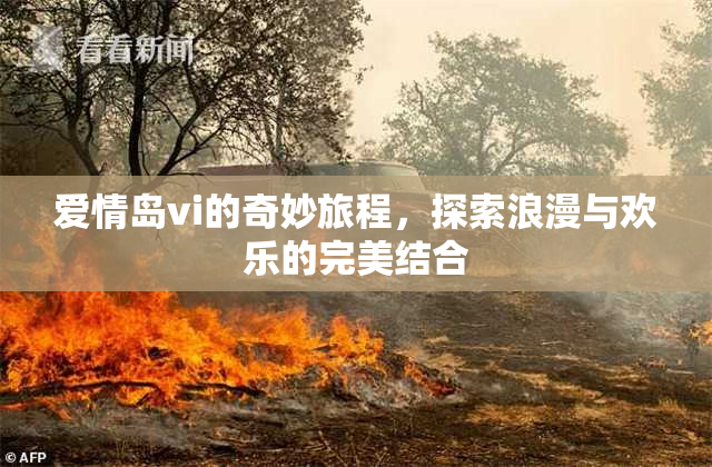 爱情岛vi的奇妙旅程，探索浪漫与欢乐的完美结合