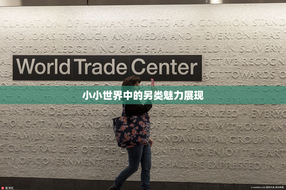 小小世界中的另类魅力展现