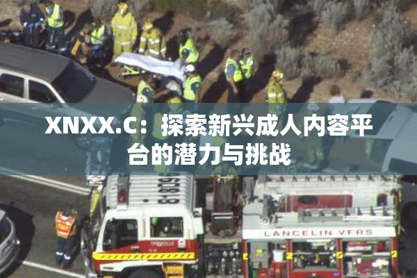 XNXX.C：探索新兴成人内容平台的潜力与挑战