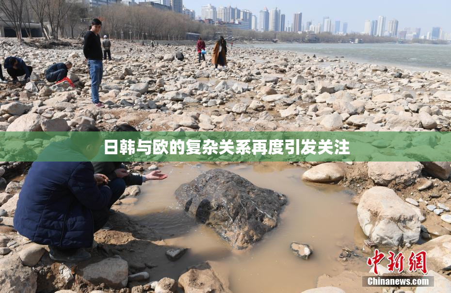 日韩与欧的复杂关系再度引发关注