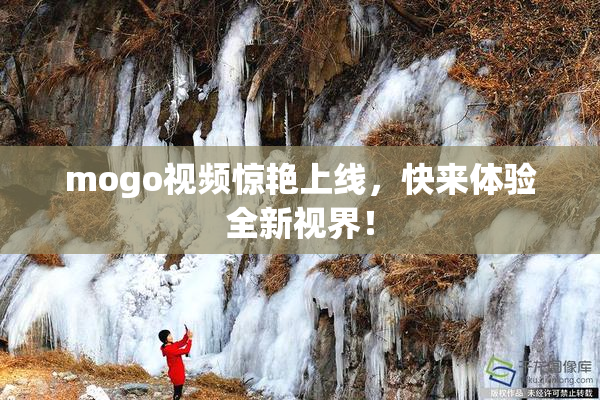 mogo视频惊艳上线，快来体验全新视界！