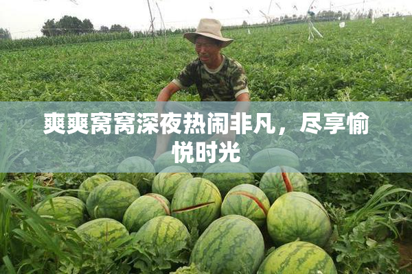 爽爽窝窝深夜热闹非凡，尽享愉悦时光