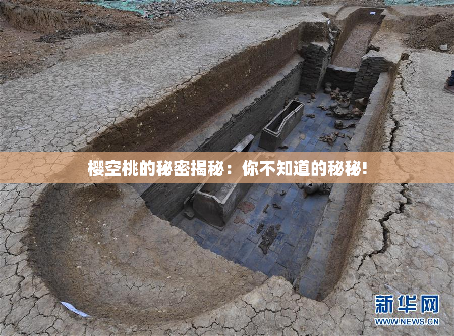 樱空桃的秘密揭秘：你不知道的秘秘!