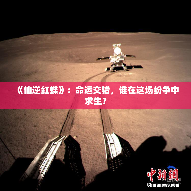 《仙逆红蝶》：命运交错，谁在这场纷争中求生？