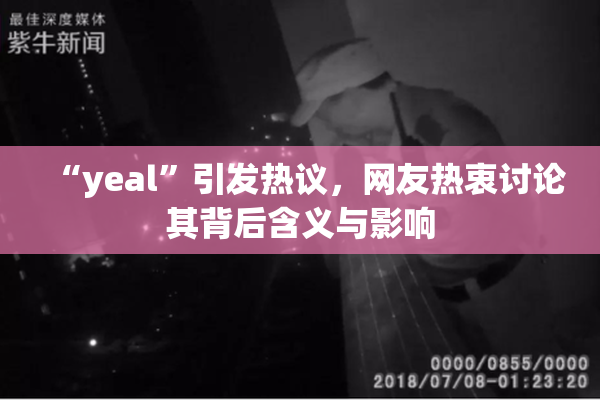 “yeal”引发热议，网友热衷讨论其背后含义与影响
