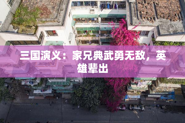 三国演义：家兄典武勇无敌，英雄辈出