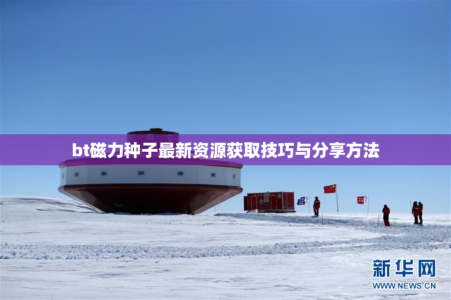 bt磁力种子最新资源获取技巧与分享方法