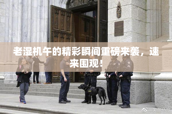 老湿机午的精彩瞬间重磅来袭，速来围观！