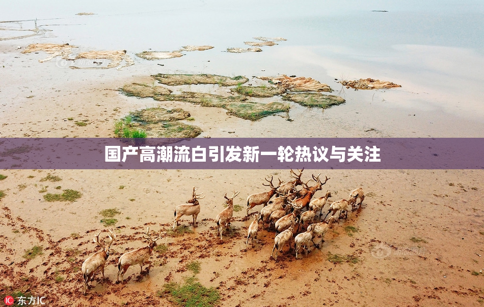 国产高潮流白引发新一轮热议与关注