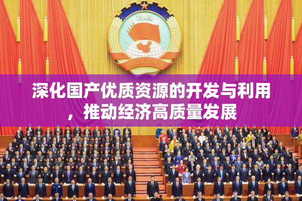 深化国产优质资源的开发与利用，推动经济高质量发展