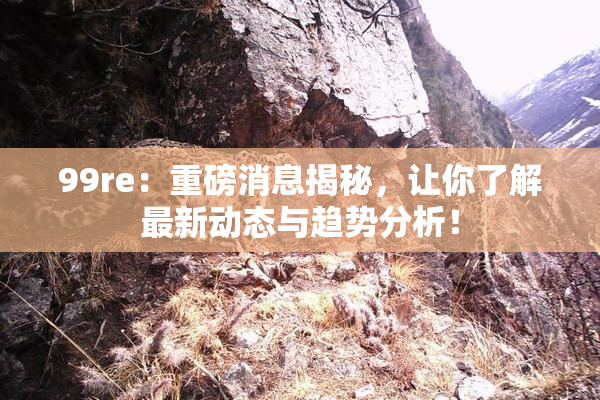 99re：重磅消息揭秘，让你了解最新动态与趋势分析！