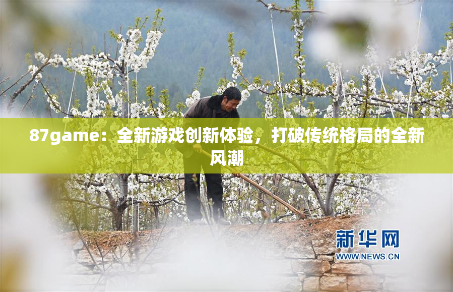 87game：全新游戏创新体验，打破传统格局的全新风潮