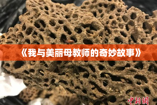《我与美丽母教师的奇妙故事》