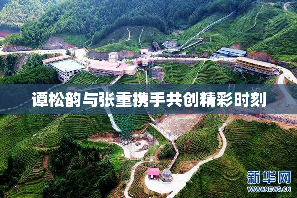 谭松韵与张重携手共创精彩时刻