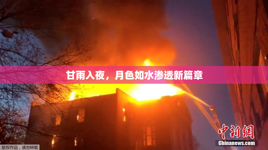 甘雨入夜，月色如水渗透新篇章
