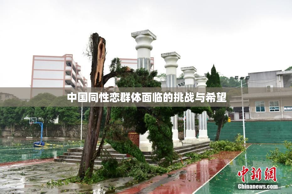 中国同性恋群体面临的挑战与希望