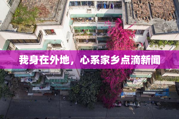 我身在外地，心系家乡点滴新闻