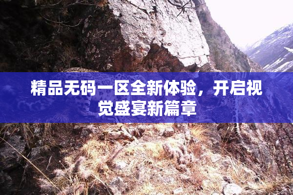 精品无码一区全新体验，开启视觉盛宴新篇章