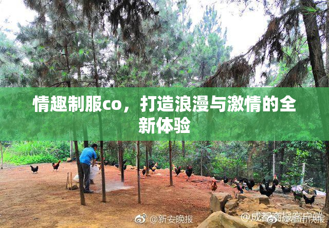 情趣制服co，打造浪漫与激情的全新体验