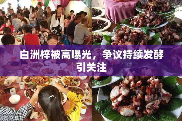 白洲梓被高曝光，争议持续发酵引关注