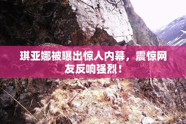 琪亚娜被曝出惊人内幕，震惊网友反响强烈！