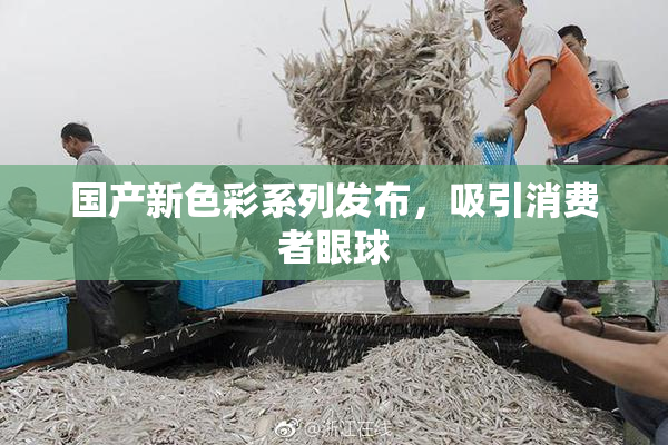 国产新色彩系列发布，吸引消费者眼球