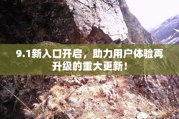 9.1新入口开启，助力用户体验再升级的重大更新！