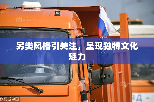 另类风格引关注，呈现独特文化魅力