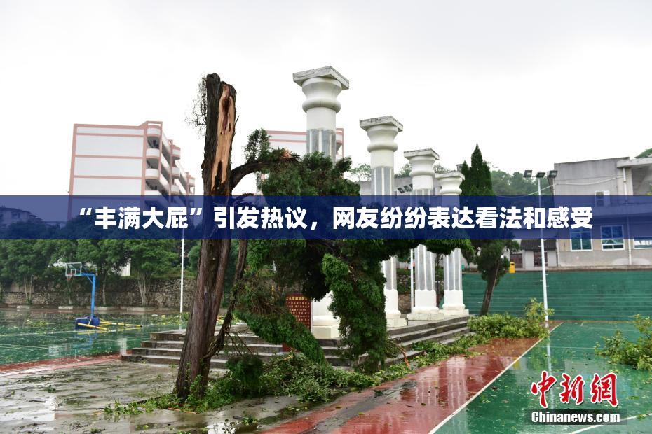 “丰满大屁”引发热议，网友纷纷表达看法和感受