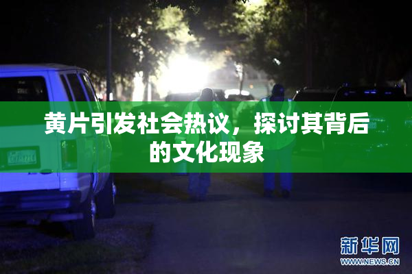 黄片引发社会热议，探讨其背后的文化现象