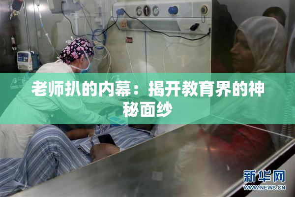 老师扒的内幕：揭开教育界的神秘面纱