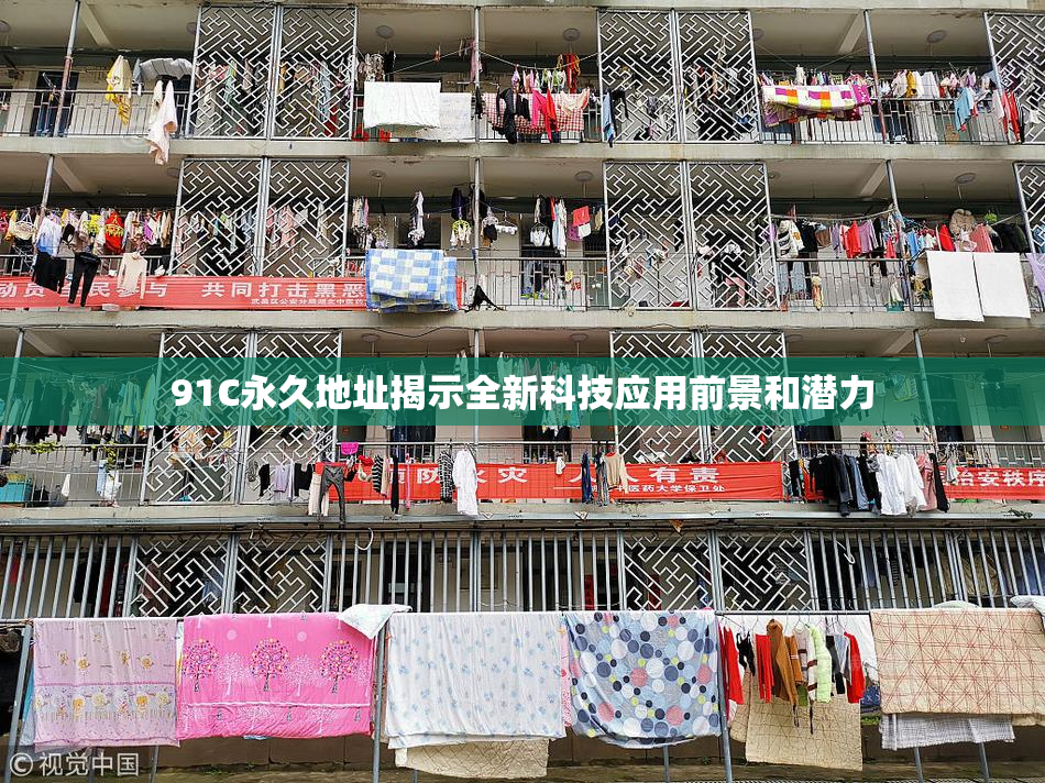 91C永久地址揭示全新科技应用前景和潜力