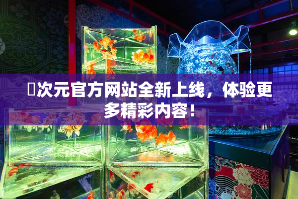囧次元官方网站全新上线，体验更多精彩内容！