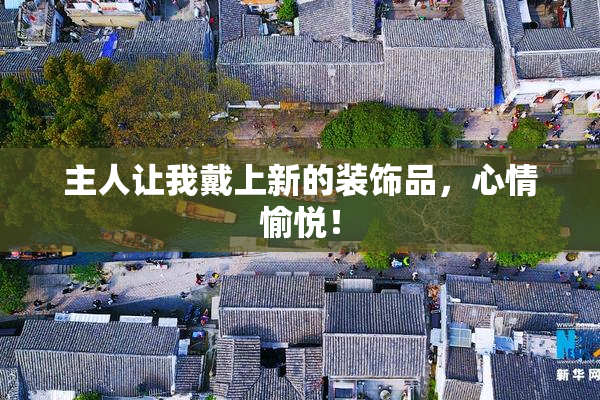 主人让我戴上新的装饰品，心情愉悦！