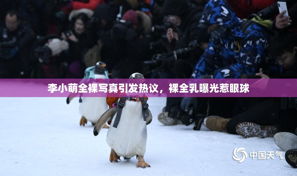 李小萌全裸写真引发热议，裸全乳曝光惹眼球