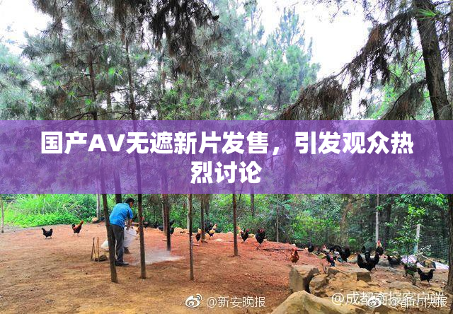 国产AV无遮新片发售，引发观众热烈讨论