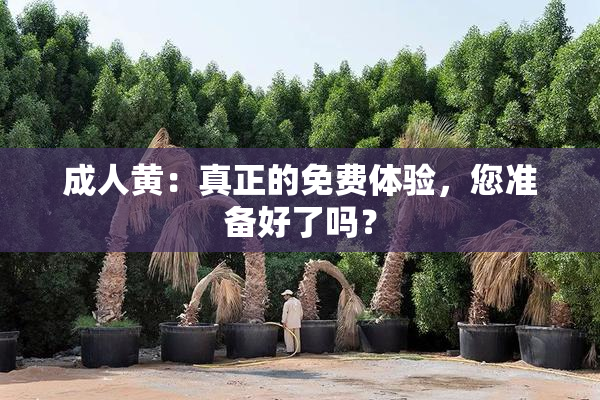 成人黄：真正的免费体验，您准备好了吗？