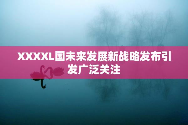 XXXXL国未来发展新战略发布引发广泛关注