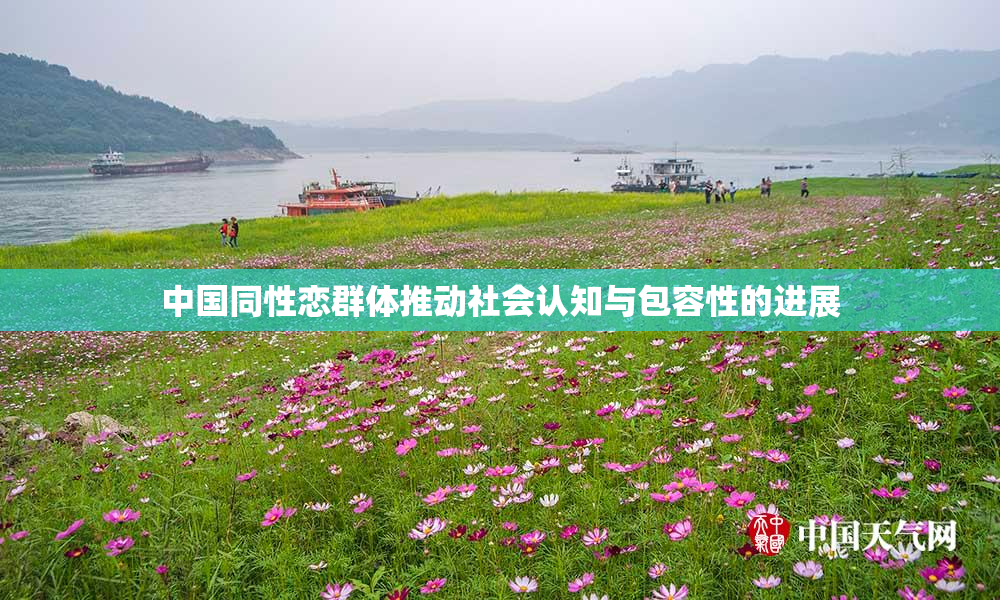 中国同性恋群体推动社会认知与包容性的进展