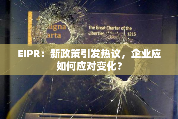EIPR：新政策引发热议，企业应如何应对变化？