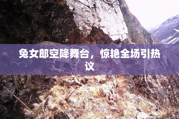 兔女郎空降舞台，惊艳全场引热议