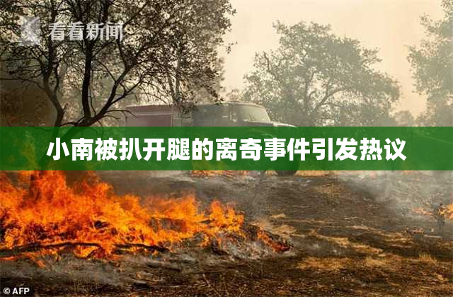 小南被扒开腿的离奇事件引发热议