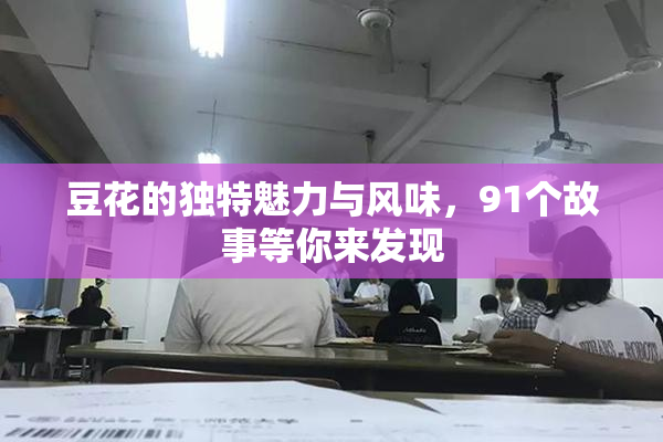 豆花的独特魅力与风味，91个故事等你来发现