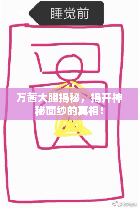 万茜大胆揭秘，揭开神秘面纱的真相！