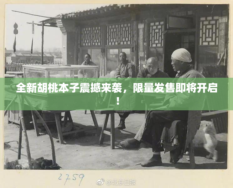 全新胡桃本子震撼来袭，限量发售即将开启！