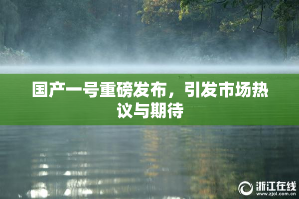 国产一号重磅发布，引发市场热议与期待